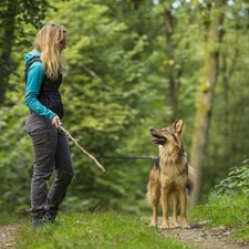 Krimitour mit Hund / Foto: © Landesforsten.RLP.de/Jonathan Fieber Krimitour mit Hund