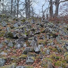 Geomantische Kraftplätze / Foto: © Beate Thome Geomantische Kraftplätze