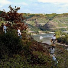 Wanderung Mandelsteinhütte / Foto: © Stadtverwaltung Boppard Wanderung Mandelsteinhütte