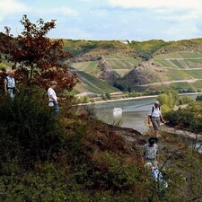 Wanderung mit Rieslingbrunch / Foto: © Stadtverwaltung Boppard Wanderung mit Rieslingbrunch